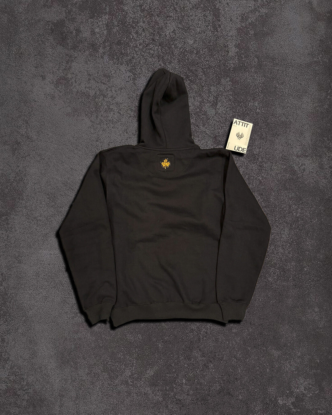 Exclusive “Got the Tism” Black Hoodie(Uni-Sex) Ft. DualVisor